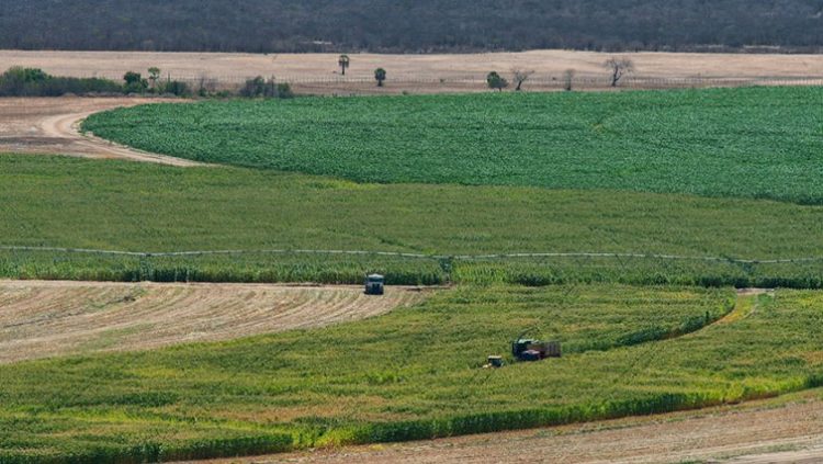 Land claimants in Limpopo